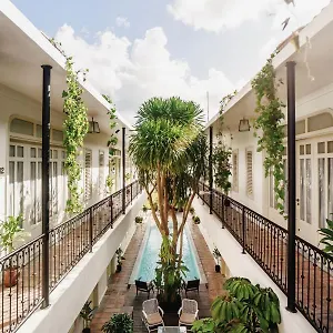 3* Hotel Brown Feather