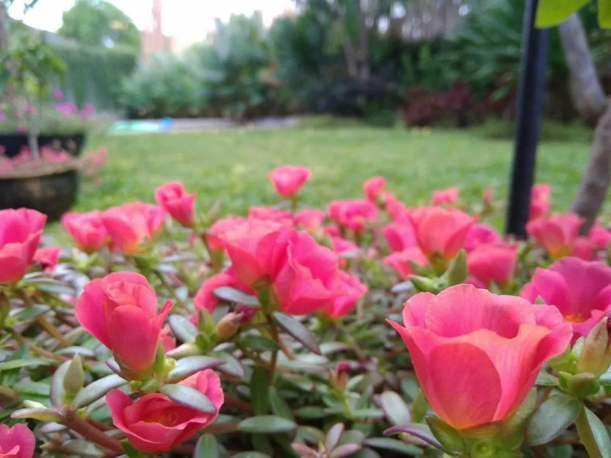 Hotel Cove Tevana Seminyak